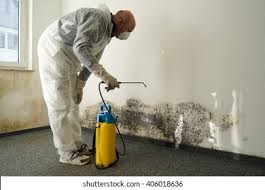 Best Mold Damage Restoration  in Midland City, AL